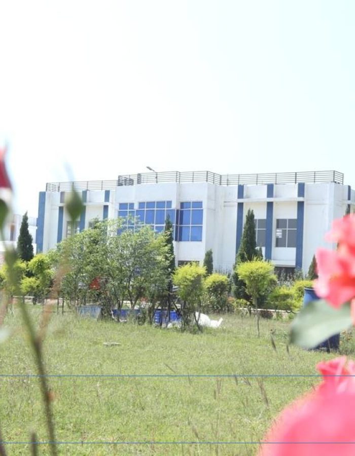 front view
